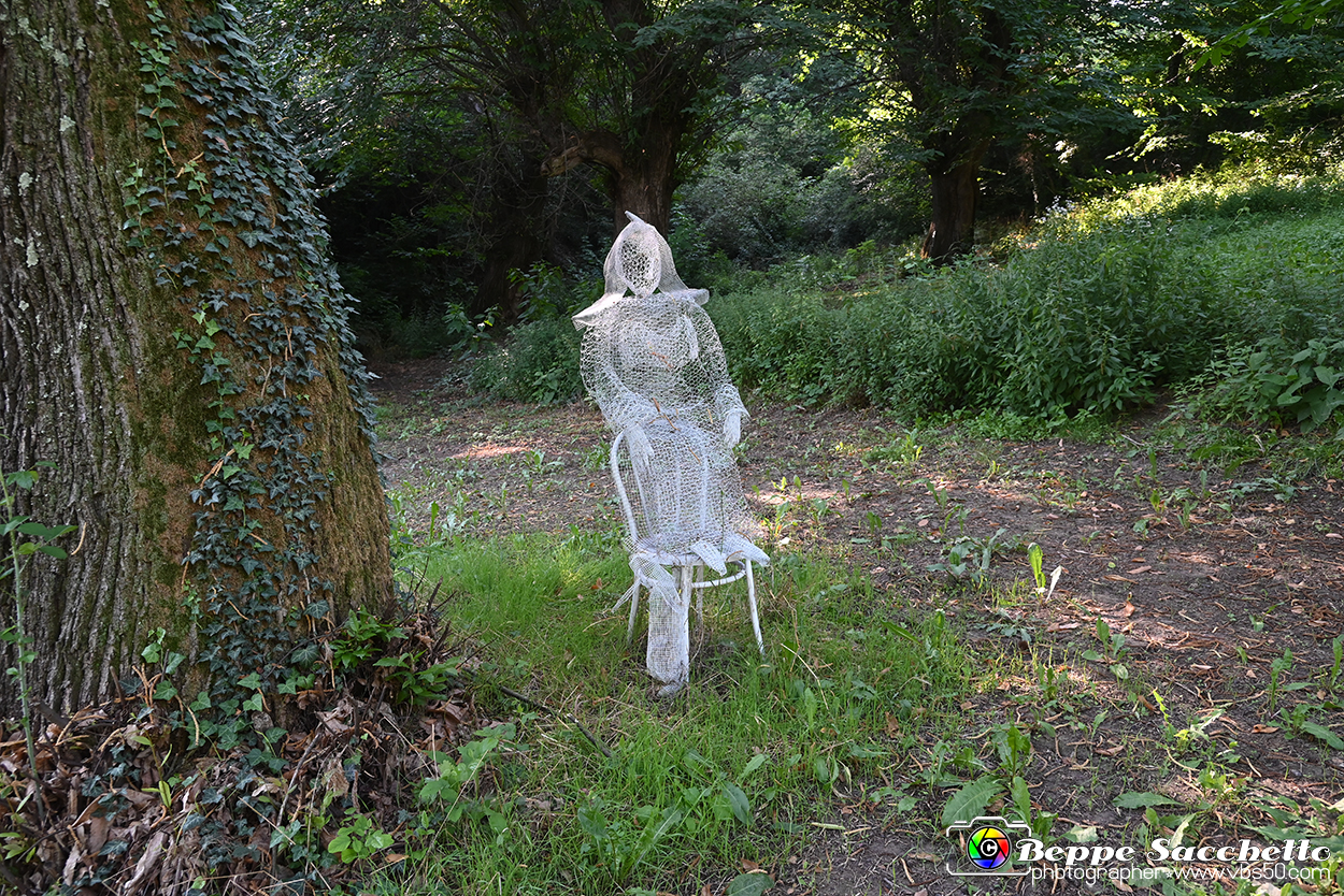 VBS_4861 - Il bosco fatato - Montaldo Roero.jpg